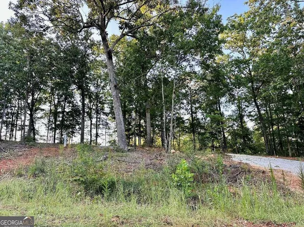 133 Lake Breeze Ln, Wedowee, AL 36278