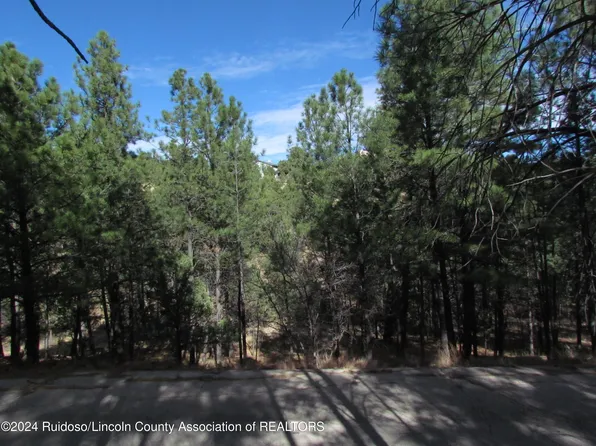 L37 Sawmill Canyon Rd, Alto, NM 88312