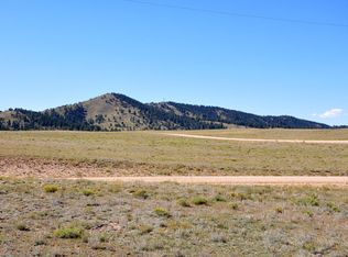 1062 Summit Rd, Hartsel, CO 80449