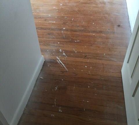 4th image of 749 N Willis St