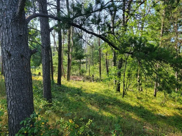 Sutherby Lidia, Saint Helen, MI 48656