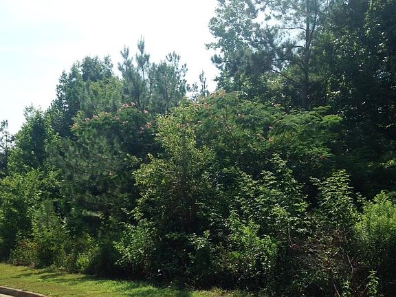 2nd image of 1106 Belmont Park Dr