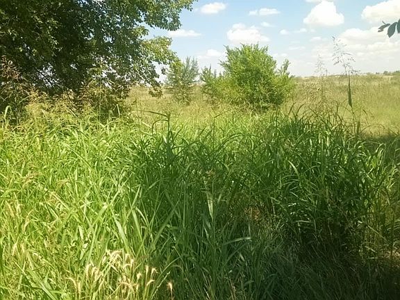 2nd image of Marion Richards Rd