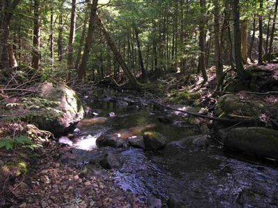 931 Reber Rd, Willsboro, NY, 12996