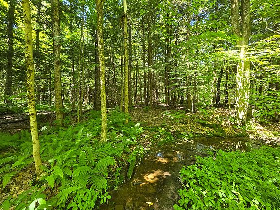 4th image of 0WP Ridge Rd