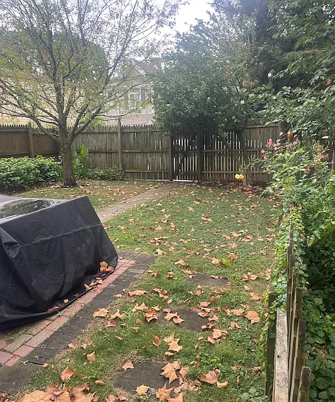 Another picture of backyardand back gate that goes to parking pad.