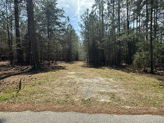 5th image of 1035 Seminole Dr Lot 103