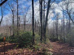 18 N Deer Run, Black Mountain, NC 28711