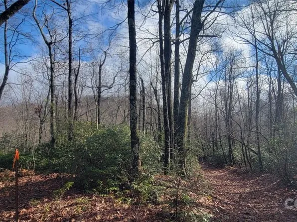 18 N Deer Run, Black Mountain, NC 28711