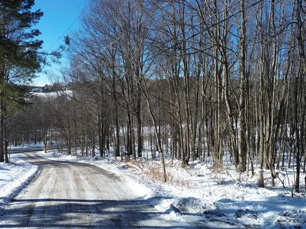 0 Mountain View Road, Windham, NY 12496