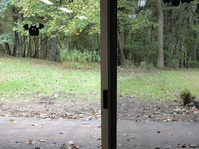 Rear view from basement area viewing nature-Brick patio