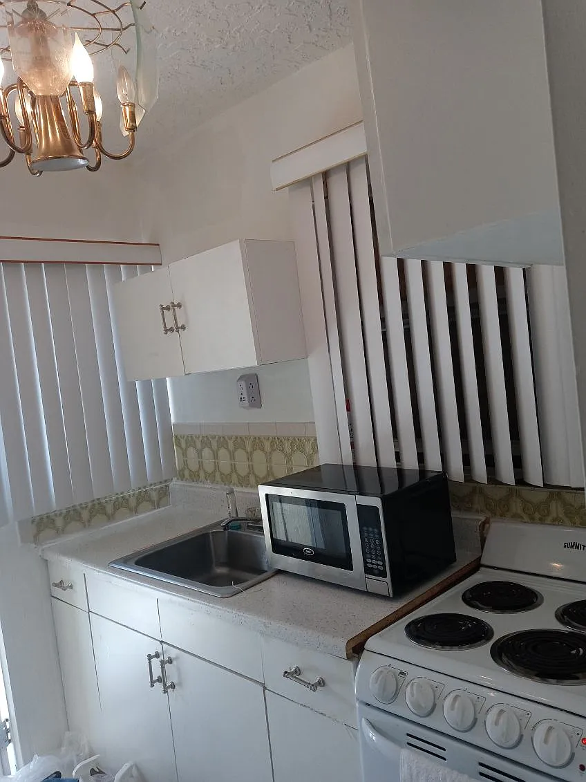 Studio, 225 sqft, $1,200 — Photo 3