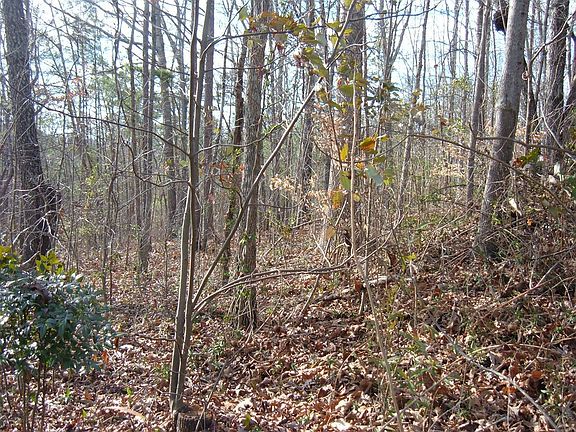 .56 Acre