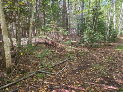 LOT 4 Sandy Ln, Land O Lakes, WI, 54540