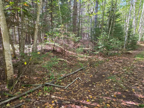 LOT 4 Sandy Ln, Land O Lakes, WI 54540