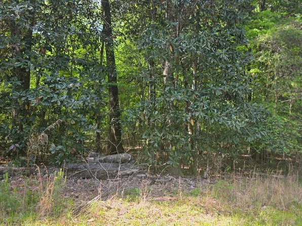 0 Magnolia Dr, Georgetown, GA 39854