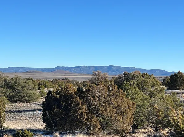 49 Sweetwater Dr, Quemado, NM 87829