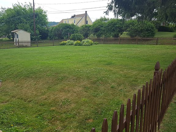 Back yard