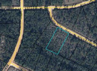 0 Fremont Ct, Alford, FL 32420