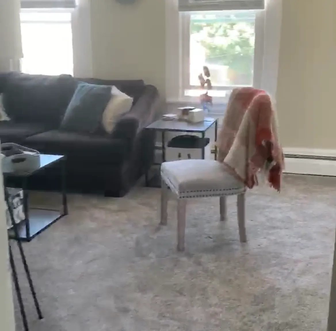1 bed, $1,100 — Photo 1