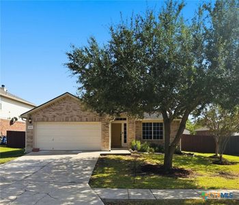 1935 Snowy Egret, New Braunfels, TX, 78130