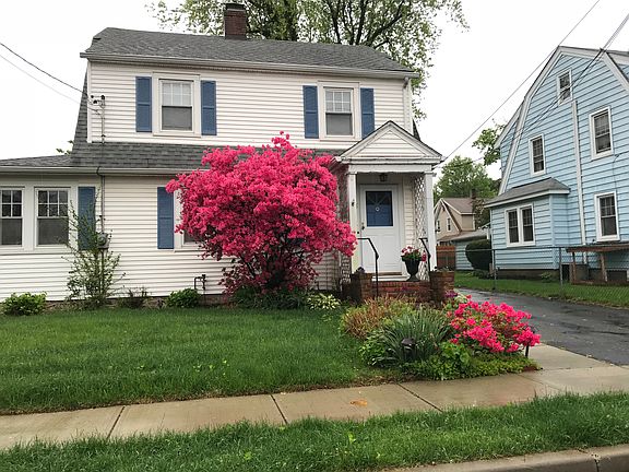 The beautiful Azalea producing a riot of color. A welcome spring sight!
