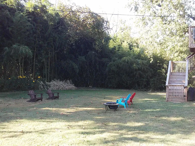 more back yard