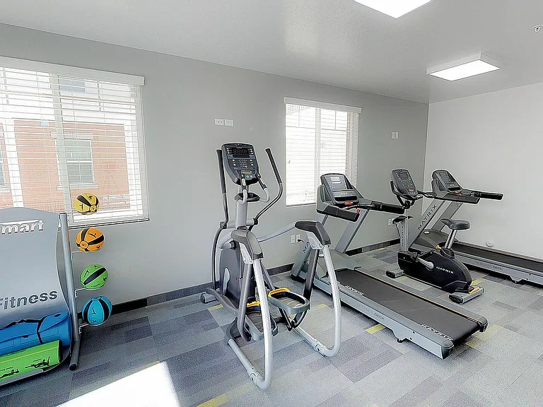 Work Out Equipment
