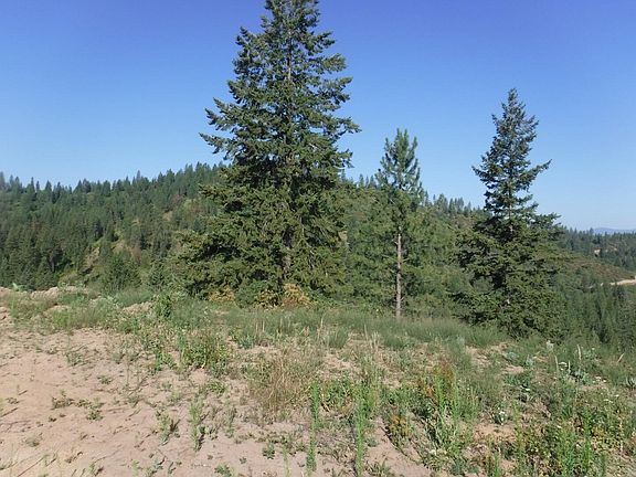 4th image of 5 Moose Ridge Way