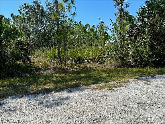 5th image of 12289 Ripple Dr