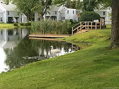 Pond