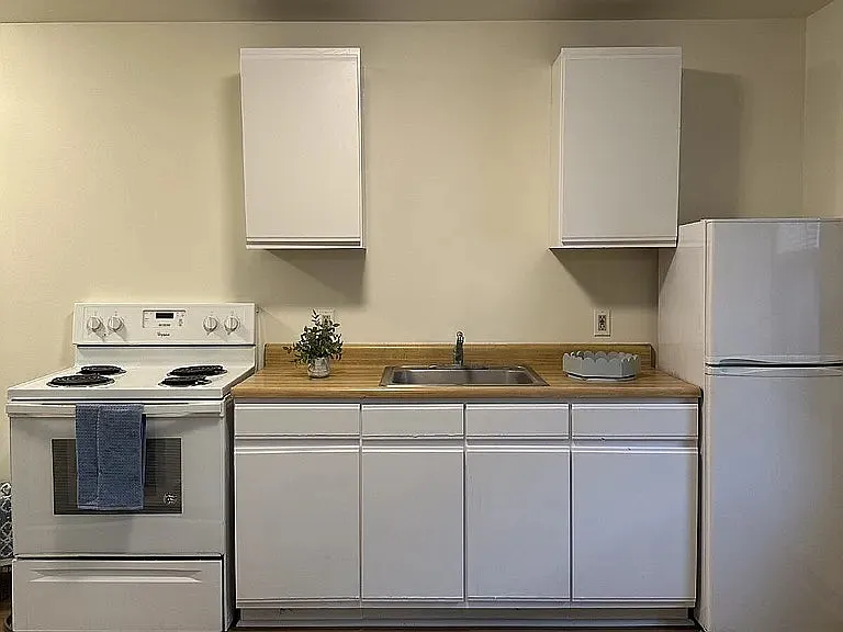 52 Pine Street, Unit 54 Pine - 1L (back) — Photo 4