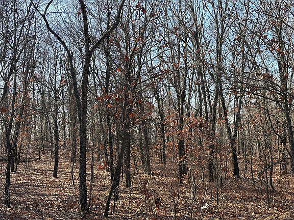 3rd image of 10000 E 4000s Rd