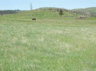 6500 Elk Creek Rd, Piedmont, SD 57769