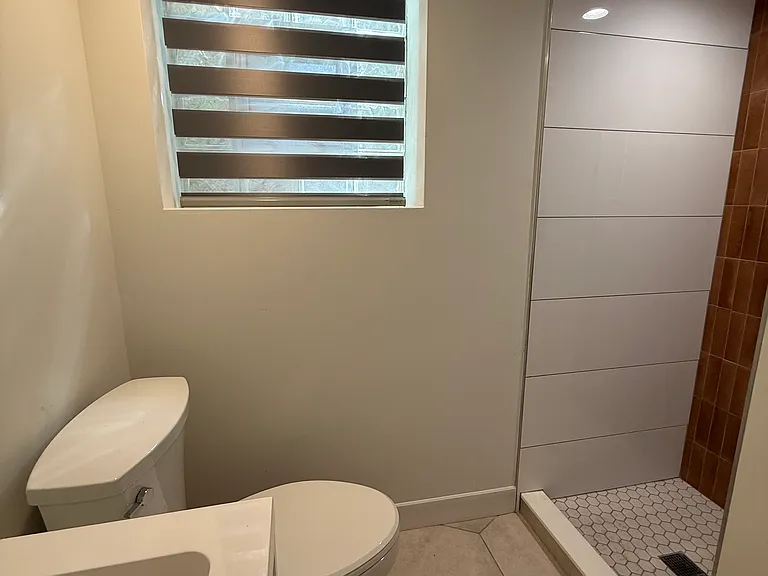 Lower level bathroom with shower