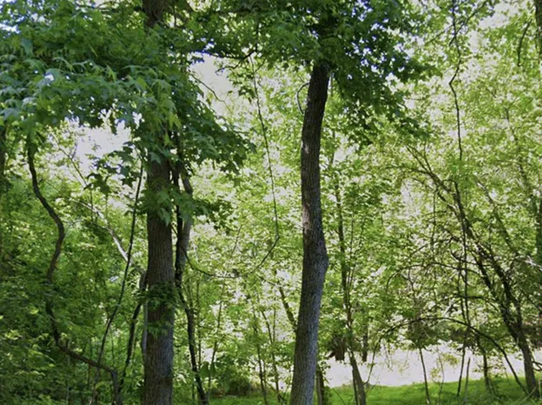 16301 Saint Thomas Church Rd, Upper Marlboro, MD 20772