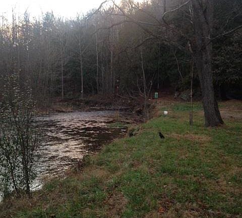 2nd image of 184 Wet Bear Ln