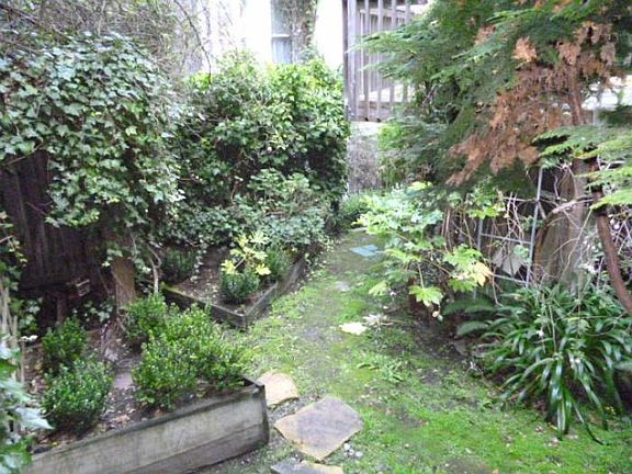 shared backyard