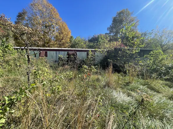 19325 Coal River Rd, Orgas, WV 25148