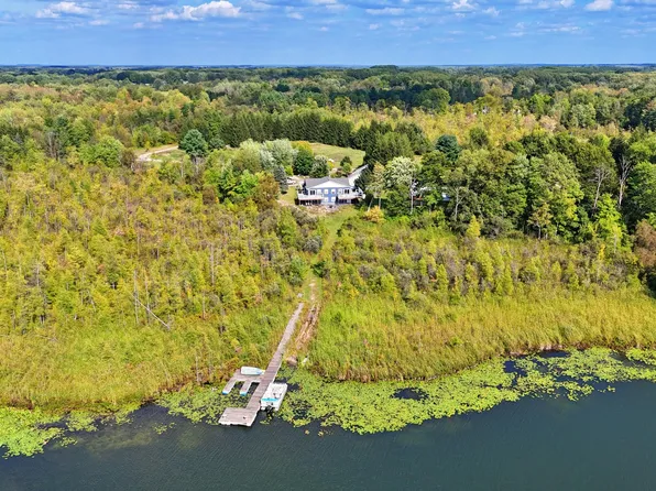 491 Bitter Creek Ln, Pierson, MI 49339