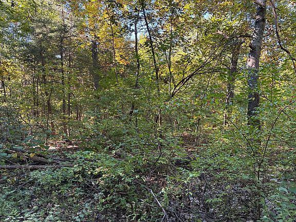 14th image of 1903 Hickory Ln