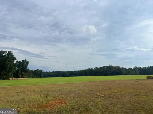 0 Love Rd, Adrian, GA 31002
