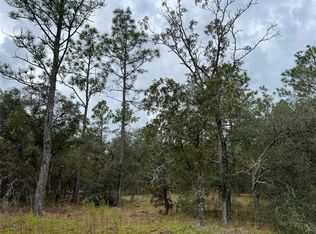 SE 136th Ter LOT 6, Dunnellon, FL 34431