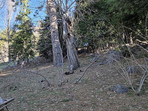 3rd image of 21543 Peak Cir #11