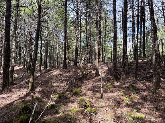 4th image of X Smith Cove Road