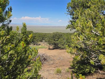 Lot 1416 Michaels Road, Fort Garland, CO, 81133