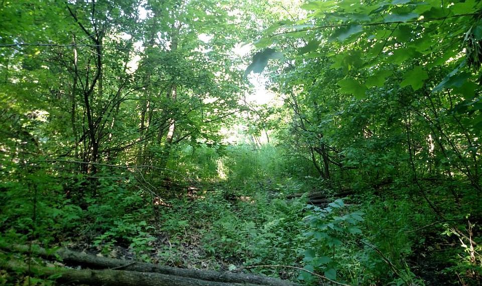2nd image of 310 Street