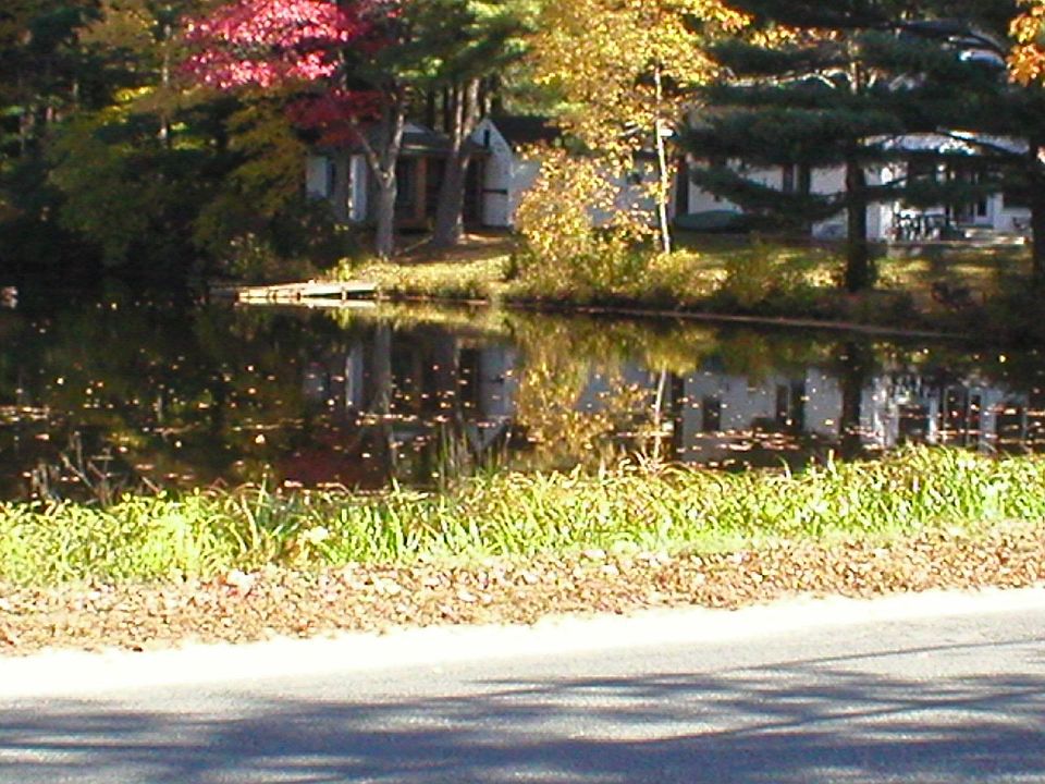 View of Heck's Pond from kitchen