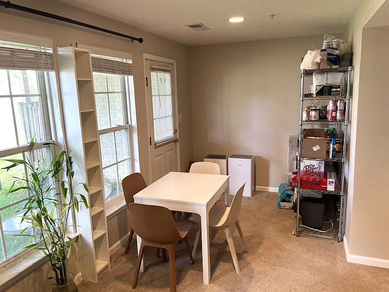 Entry level backdoor entryway (leads to lawn and hill behind house)