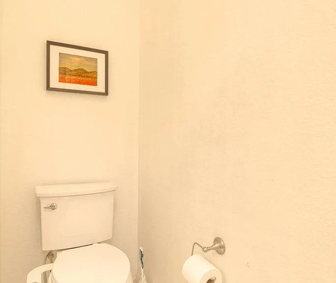 1232 E Camino Diestro — Photo 29